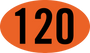 "120"